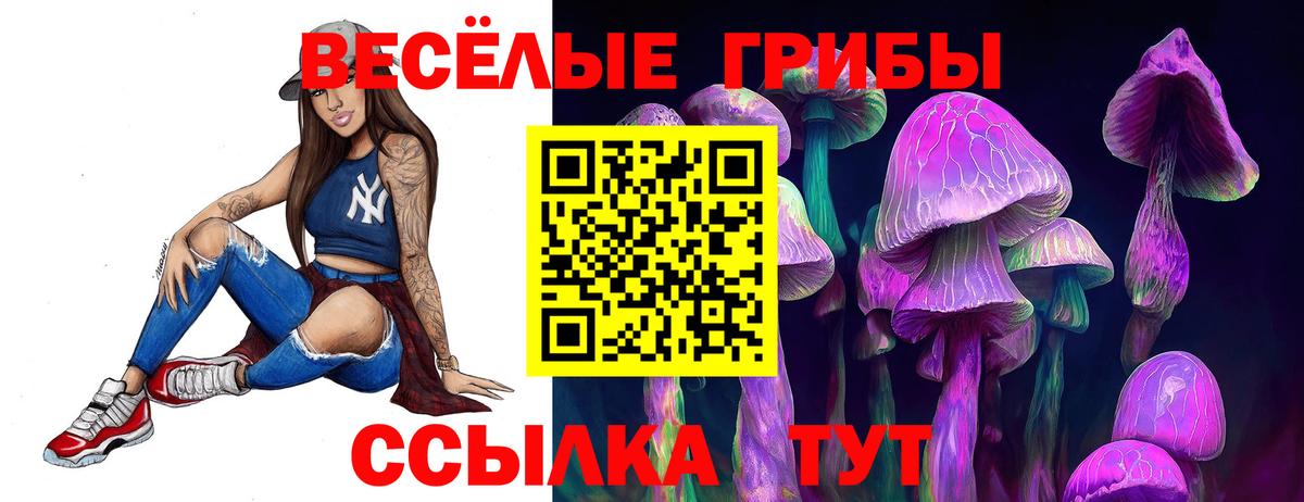 Медногорск  Псилоцибиновые грибы Psilocybe  Галлюциногенные грибы мицелий  Вход с VPN 