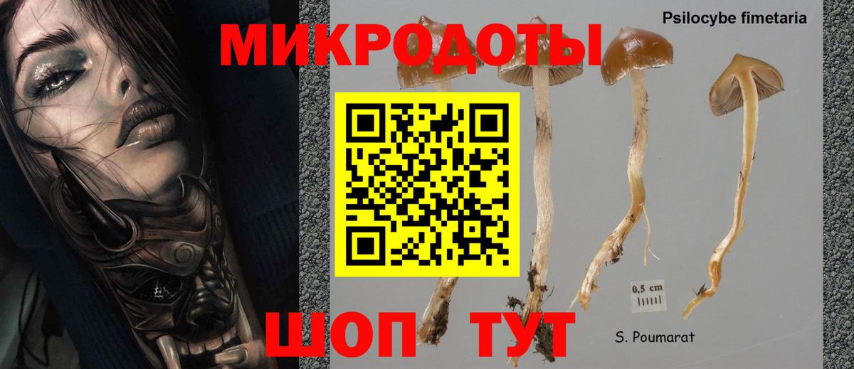 Галлюциногенные грибы мицелий Медногорск